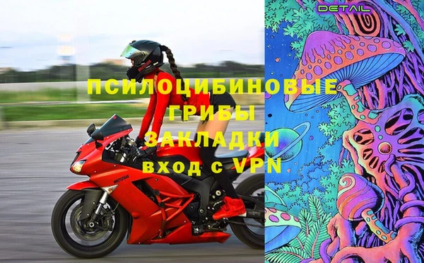 бошки Алексеевка