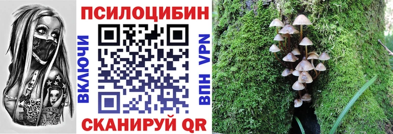 Псилоцибиновые грибы Psilocybine cubensis Искитим